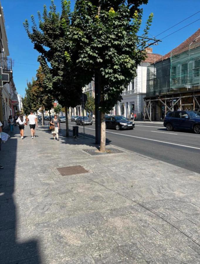 Ndl Downtown Apartment Cluj-Napoca Exterior photo